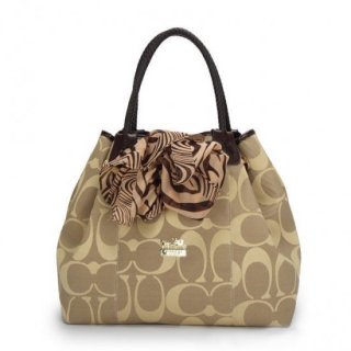 Coach North South Scarf Large Khaki Totes ATT
