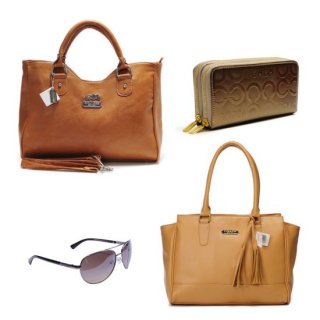 Coach Only $169 Value Spree 2 EEZ Coach Only $169 Value Spree 2 EEZ