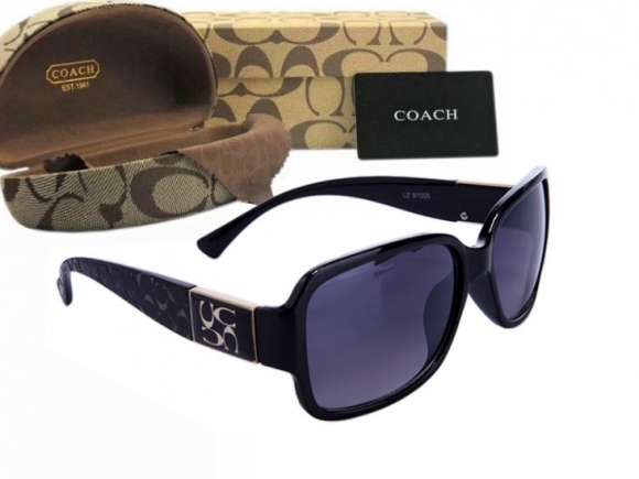 Coach Sunglasses 8002 Coach Sunglasses 8002