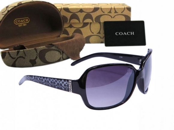 Coach Sunglasses 8009 Coach Sunglasses 8009