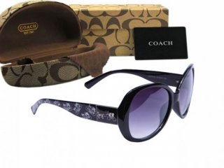 Coach Sunglasses 8014 Coach Sunglasses 8014