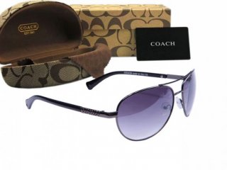 Coach Sunglasses 8015 Coach Sunglasses 8015