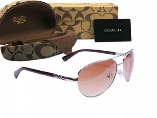 Coach Sunglasses 8016 Coach Sunglasses 8016