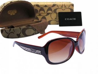 Coach Sunglasses 8017 Coach Sunglasses 8017