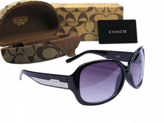 Coach Sunglasses 8018 Coach Sunglasses 8018