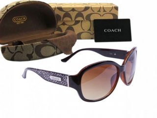 Coach Sunglasses 8020 Coach Sunglasses 8020
