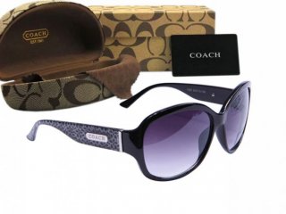 Coach Sunglasses 8021 Coach Sunglasses 8021