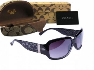 Coach Sunglasses 8024 Coach Sunglasses 8024