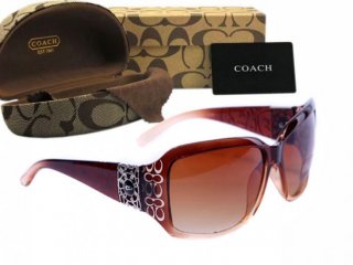 Coach Sunglasses 8025 Coach Sunglasses 8025