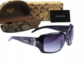 Coach Sunglasses 8026 Coach Sunglasses 8026